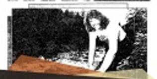 Lynn Valley Echo