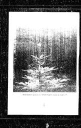 2999.pdf-46